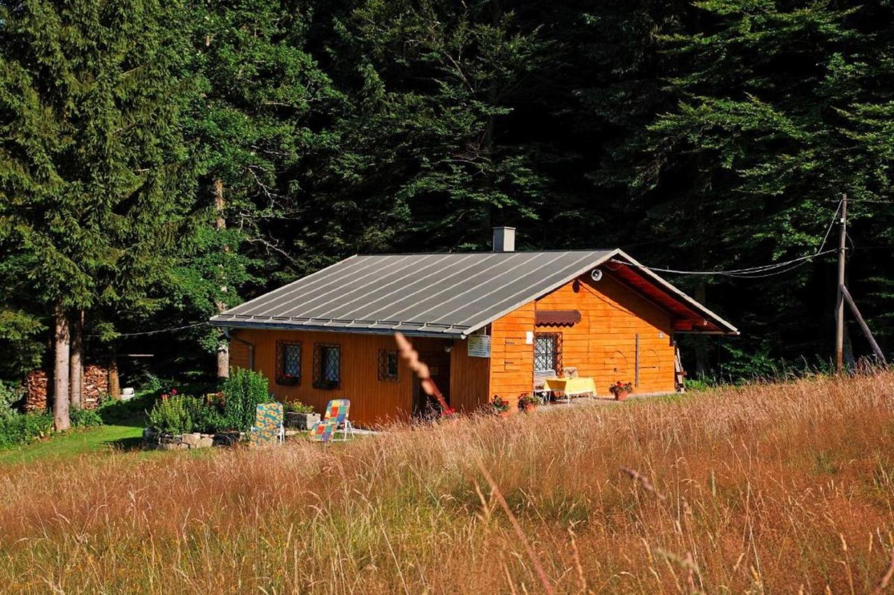 Haus An Der Bergwiese Вальдкирхен Экстерьер фото